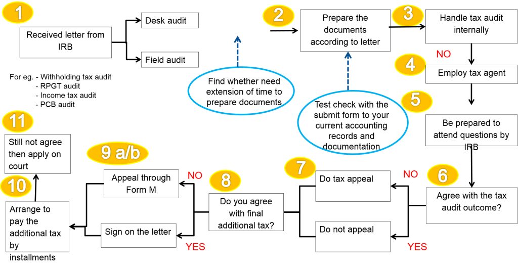 tax audit process1